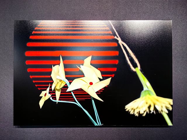 觀看的回路 觀看的回路