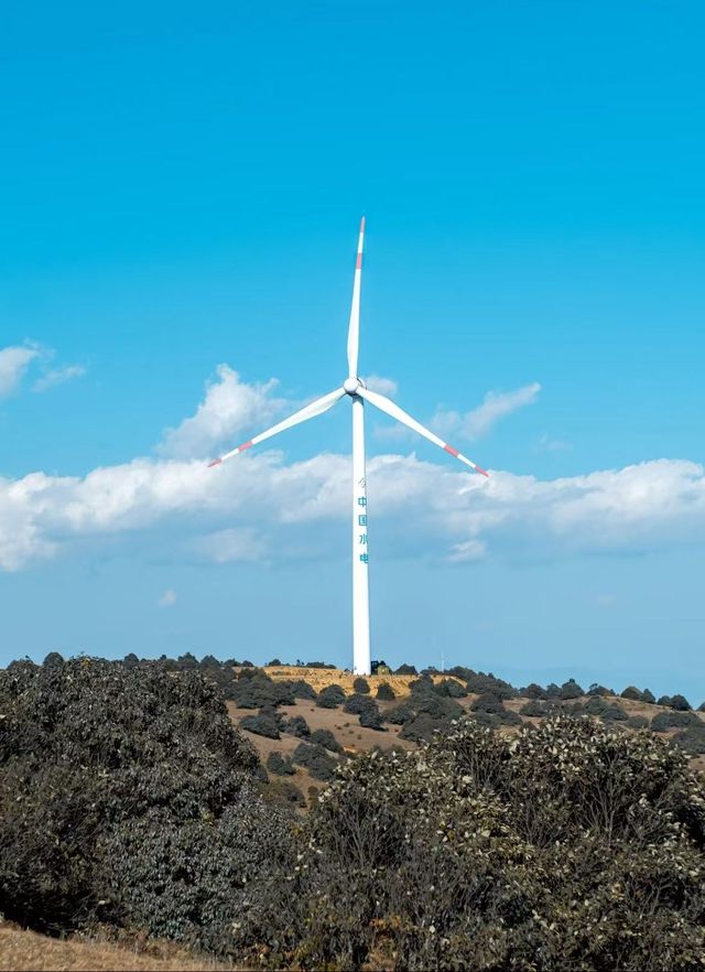 大理風車山!闖進童話牧場 大理風車山!闖進童話牧場