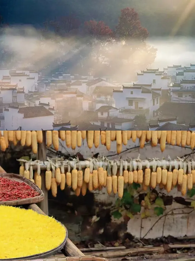 上饒我來了！上海出發3天玩轉清婺景～