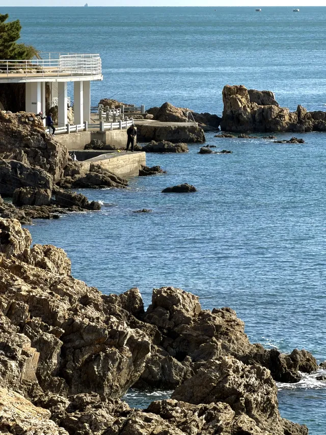 大連｜週末詳細兩日遊攻略來啦～冬天絕美！