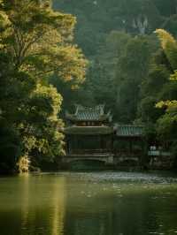 鼎湖山親子避暑攻略帶娃解鎖森林瀑布 清涼一夏