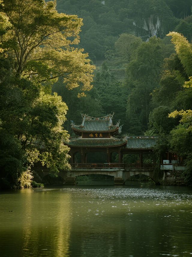 鼎湖山親子避暑攻略帶娃解鎖森林瀑布 清涼一夏 鼎湖山親子避暑攻略帶娃解鎖森林瀑布 清涼一夏
