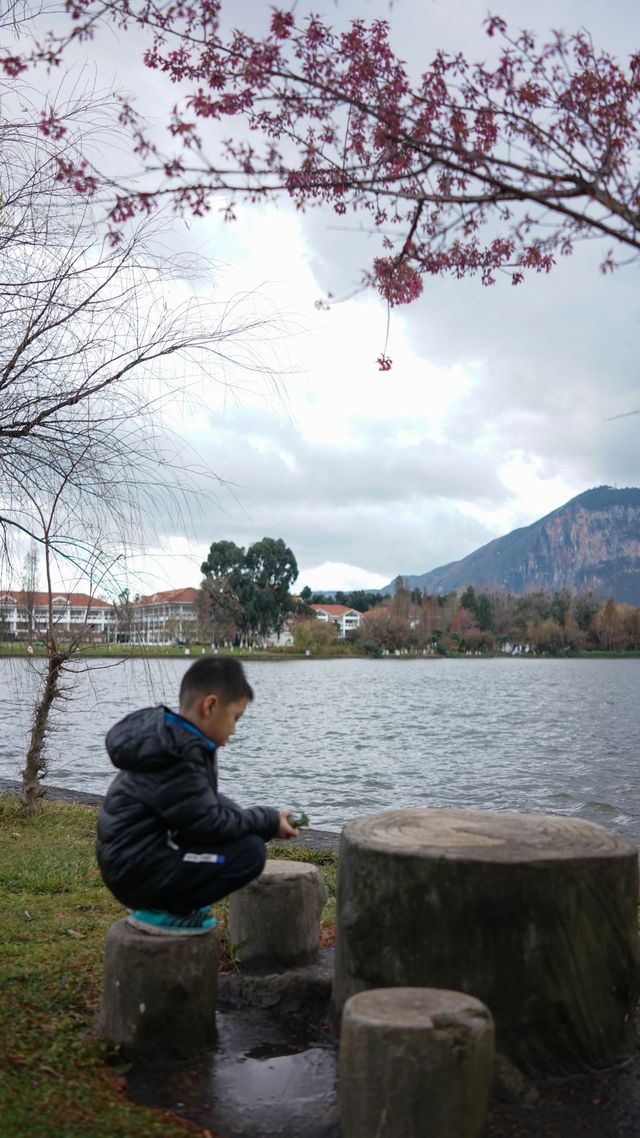 陪老帶娃住昆明-海埂溫泉花園酒店 陪老帶娃住昆明-海埂溫泉花園酒店
