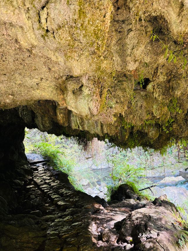貴州貴陽紫江地縫闖入貴州「地心之門」 貴州貴陽紫江地縫闖入貴州「地心之門」