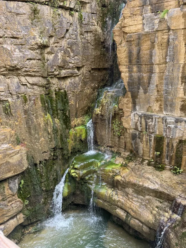 秋日雲台山兄弟局攻略 紅葉+鬆弛感雙拿捏 秋日雲台山兄弟局攻略 紅葉+鬆弛感雙拿捏