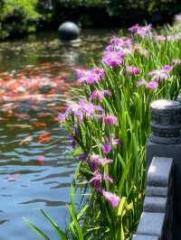 上海隱世古寺|700年真如寺,藏著都市裡的慢時光