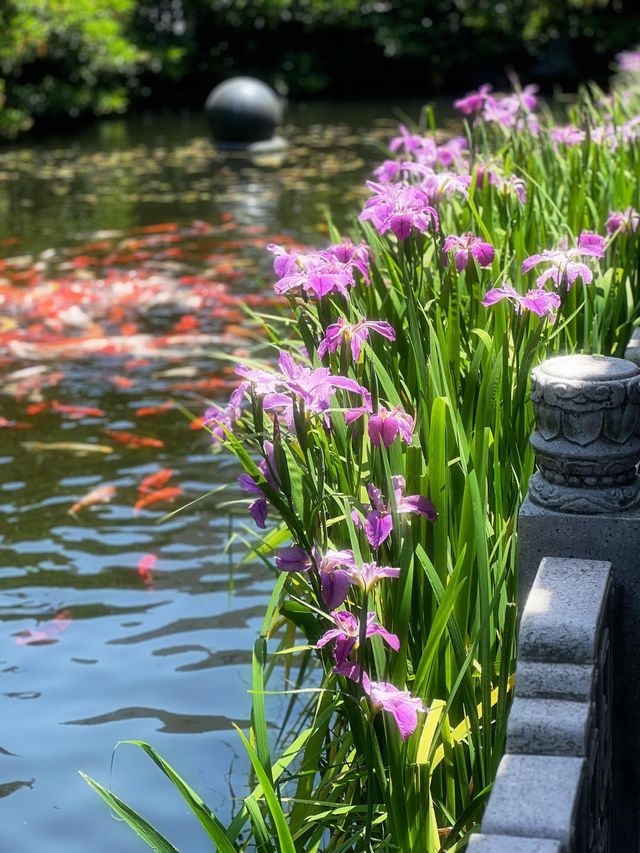 上海隱世古寺|700年真如寺,藏著都市裡的慢時光 上海隱世古寺|700年真如寺,藏著都市裡的慢時光