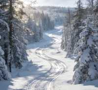 冬日童話不止哈爾濱!長春淨月潭冰雪季,小眾玩法驚艷朋友圈