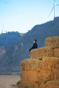 鄭州的初冬,遠山草垛,溫暖成了一幅畫!