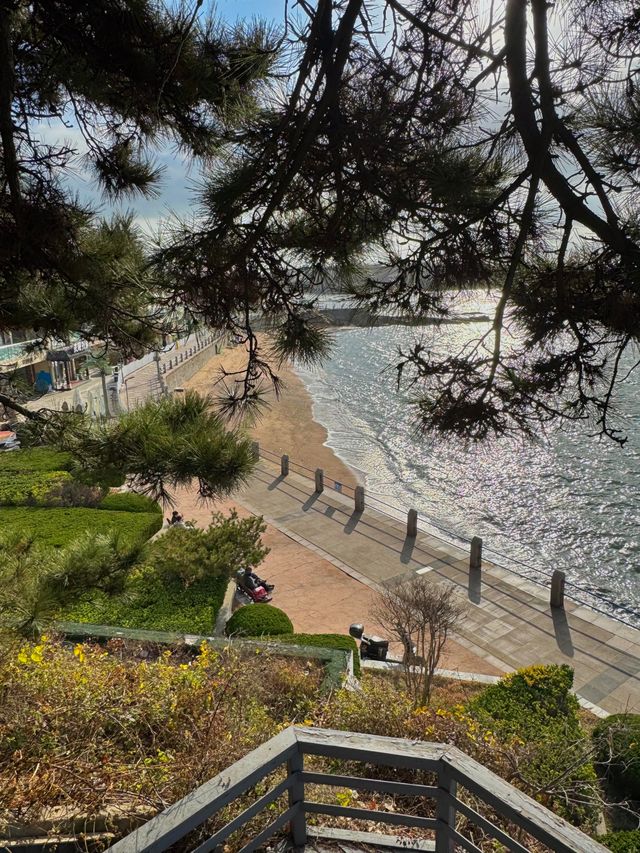 青島citywalk神仙路線人少景美巨出片！