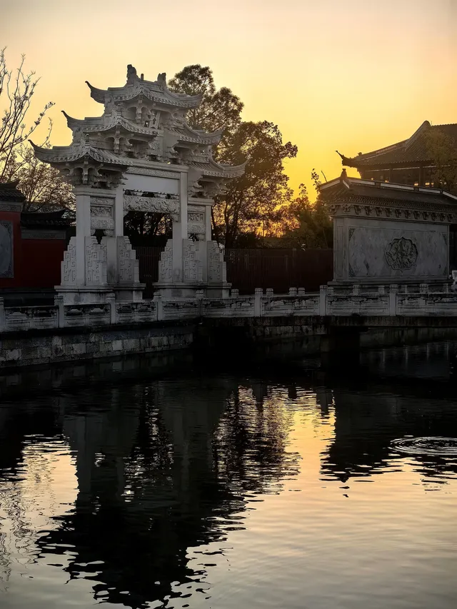 上海週末11|我在乾隆故里拍到了鵝生照片