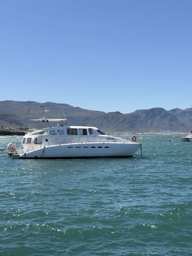 南非｜赫曼努斯-世界最佳陸地觀鯨地