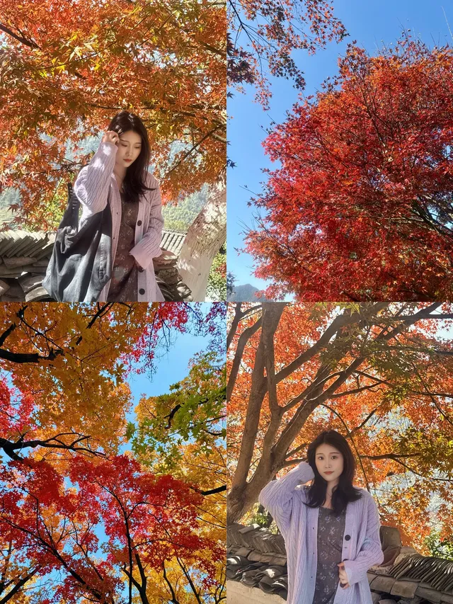 江西4天4晚懶人版遊玩攻略