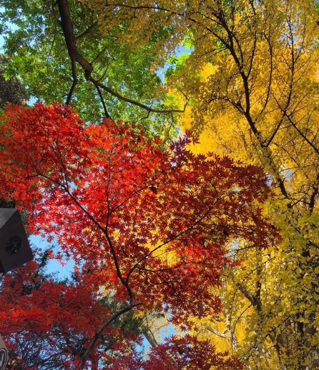 昆明的秋天 昆明的秋天