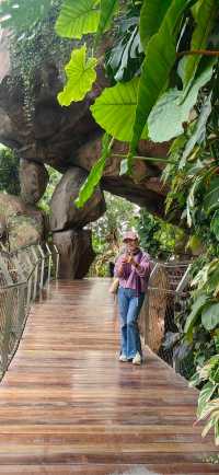 魔都打卡日記世博溫室花園+3號倉庫美食探店