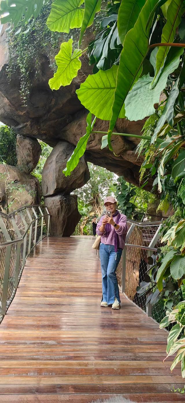 魔都打卡日記世博溫室花園+3號倉庫美食探店 魔都打卡日記世博溫室花園+3號倉庫美食探店