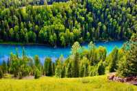 穿越童話與仙境