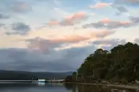 什麼!原來塔斯馬尼亞的鴨嘴獸都在這!!