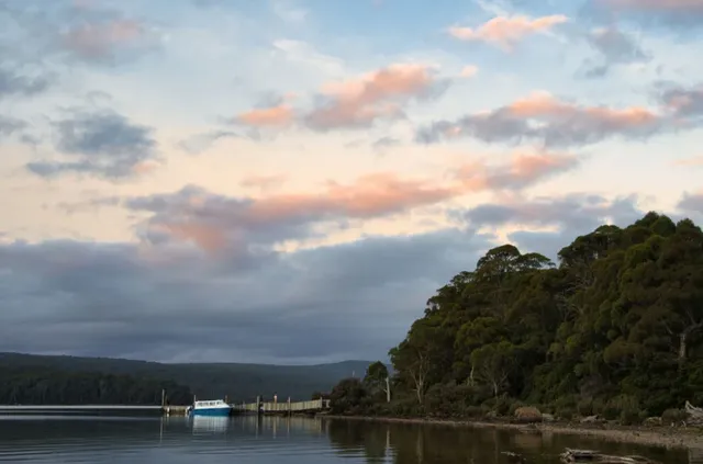 什麼!原來塔斯馬尼亞的鴨嘴獸都在這!! 什麼!原來塔斯馬尼亞的鴨嘴獸都在這!!