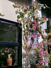 泉州|悄悄分享一個沒有人知道的絕美角落