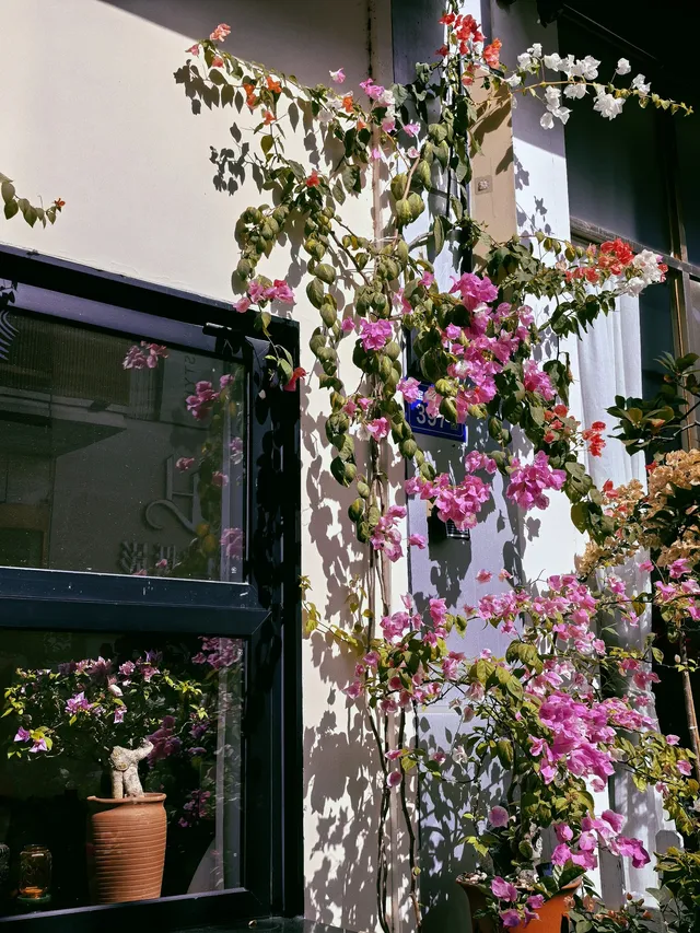 泉州|悄悄分享一個沒有人知道的絕美角落 泉州|悄悄分享一個沒有人知道的絕美角落