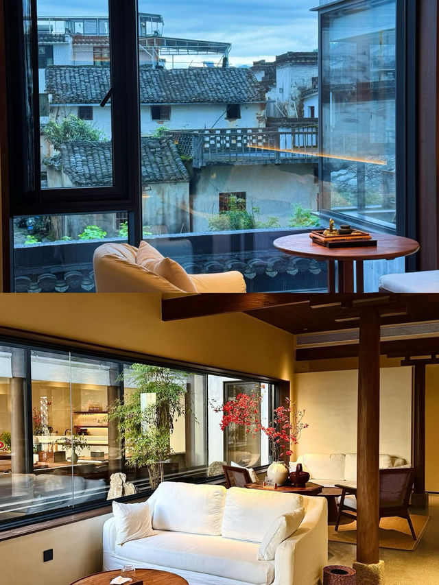 追絕美魚燈寶藏地