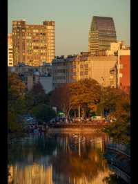 昆明秋日頂流滇樸鎏金季!保姆級打卡攻略,錯過等一年