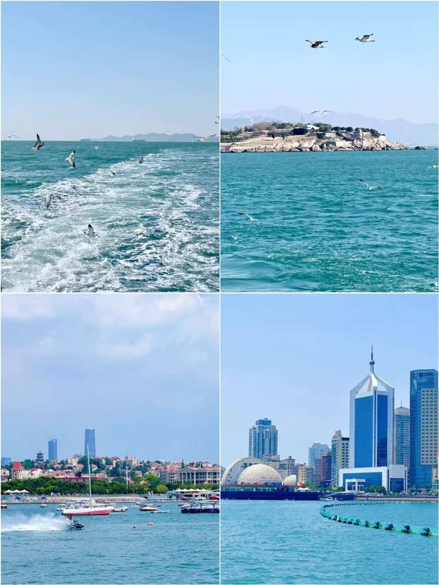 海鷗與溫泉相伴 青島冬遊指南（12-1月版）