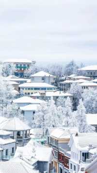 都在吹廬山雪景治癒?我想說:別太當真!