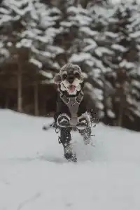人,下雪天世界就變成了童話