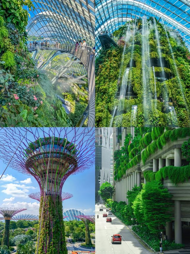 帶爸媽出國玩就選這4國！護照在手說走就走