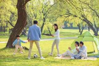 식목일 | 상하이의 봄 나들이, 활기찬 삶을 찾아서!