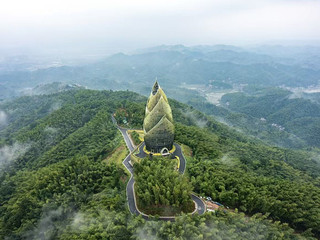 竹韻桃江 · 遇見美 | 旅拍全攻略