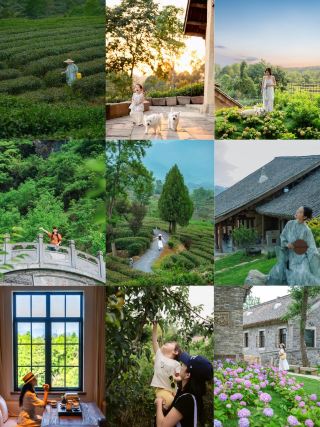 May Day Treasure Tea Mountain Homestay: A Vacation Stay Worth Visiting Multiple Times
