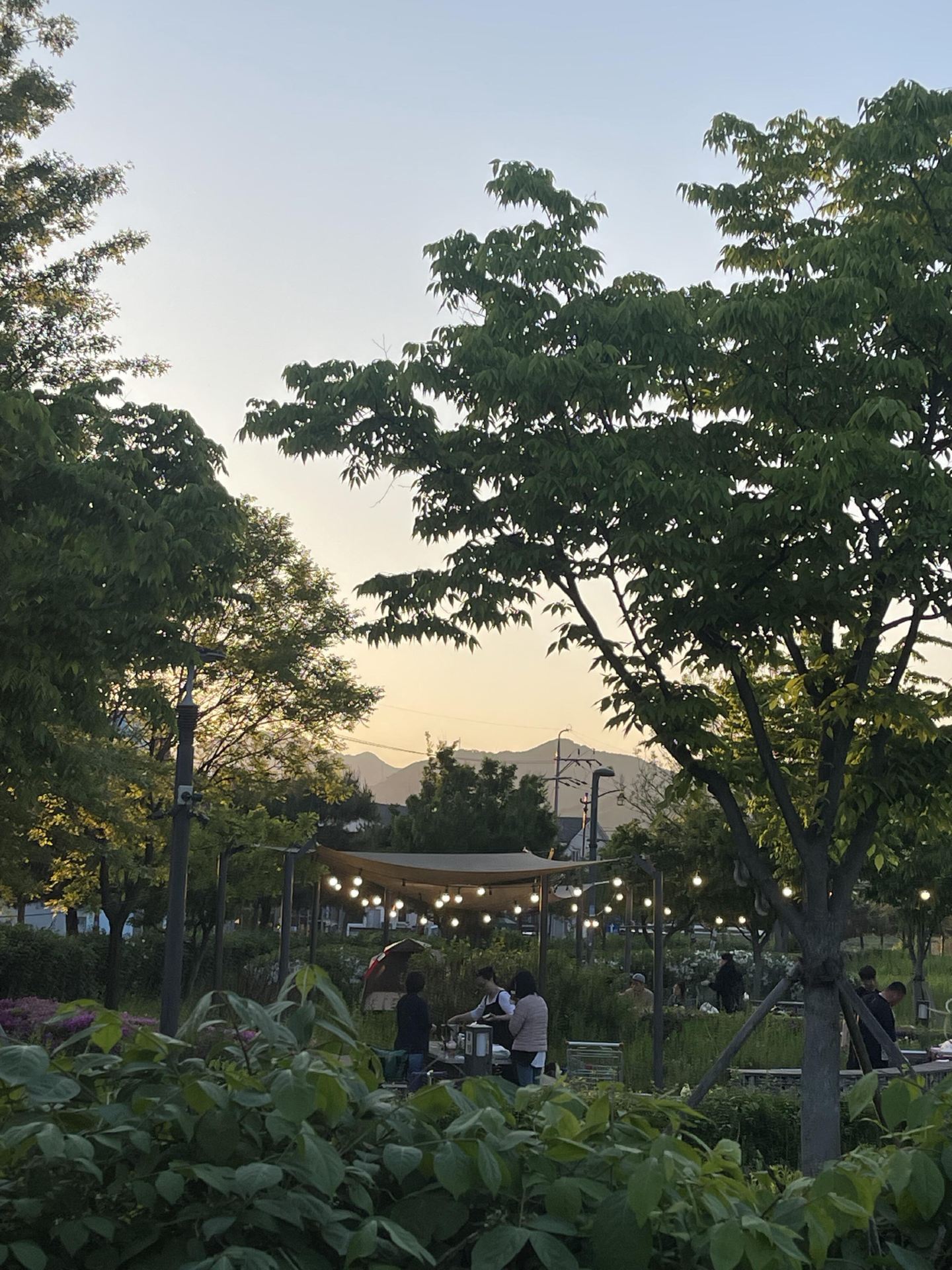 Escape Seoul! A One-Day Travel Guide to Chungju Lake · A Hidden Healing Spot