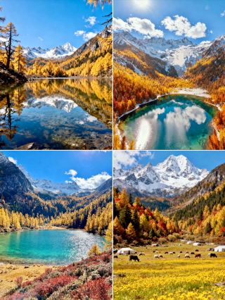 Off-the-Beaten-Path Autumn Viewing in Western Sichuan｜Dangling Hiking + Secret Colorful Forests