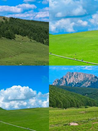 太原草原避暑の秘境ガイド