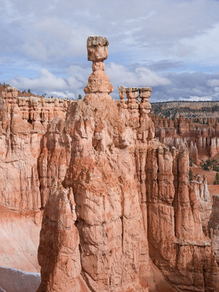 7-day summer trip to the US | nanny-level guide