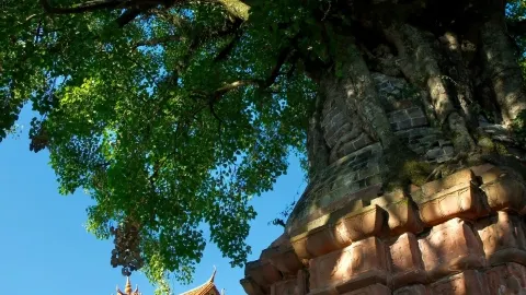 普洱景谷｜藏在滇南的小眾縣城，慢逛兩天太治癒 — traveler post in 景谷