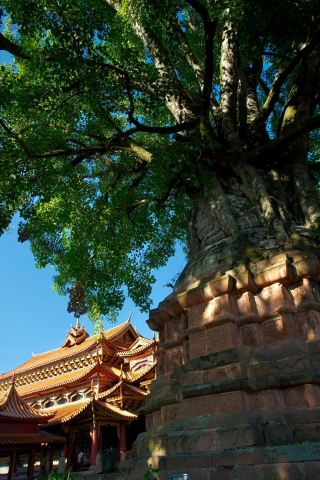 푸얼경구 | 윈난성 남부에 숨겨진 보석 같은 곳으로, 이틀 동안 여유롭게 산책하면 마음이 편안해지는 곳입니다.
