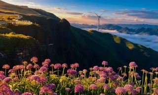 Guizhou Jiucaiping hiking true travel diary (first person)
