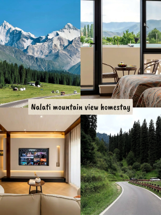 Narati mountain view guesthouse | live in the romance of Ili