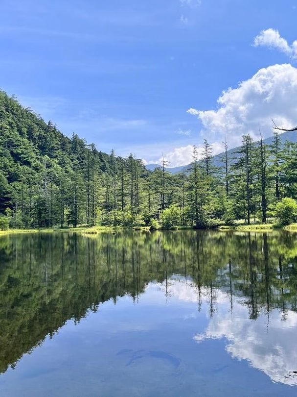 暑假帶娃去日本攻略收好