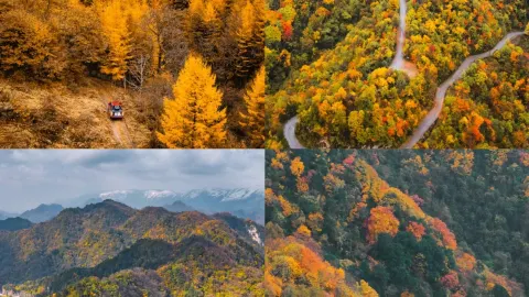 진령 류바를 다섯 번이나 다녀온 가을 여행, 이렇게 즐기세요 — traveler post in 룽현