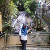 Gaharu Tea Valley in Gopeng