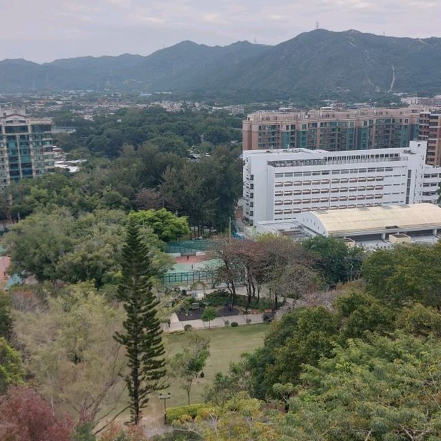 元朗公園悠閒好去處