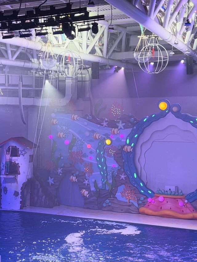 제주 비오는 날 데이트, 아쿠아 플라넷🦈