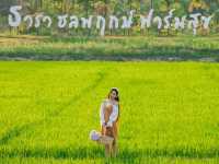 ชวนไปนอนพักผ่อนใกล้ชิดธรรมชาติ ที่ จ.นครนายก