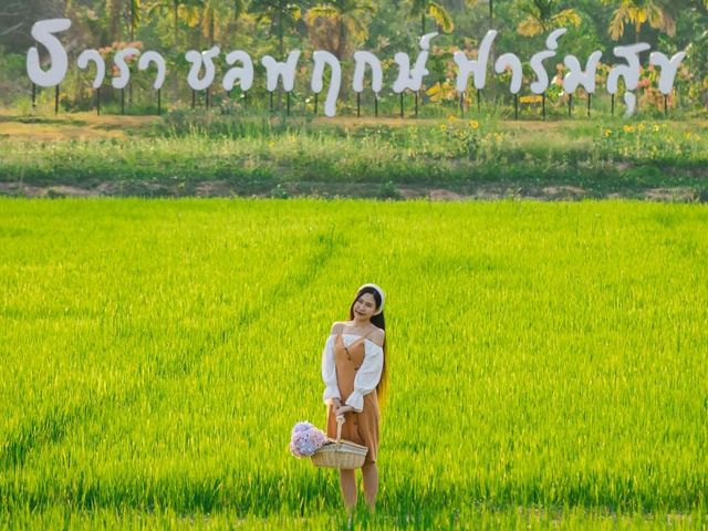ชวนไปนอนพักผ่อนใกล้ชิดธรรมชาติ ที่ จ.นครนายก