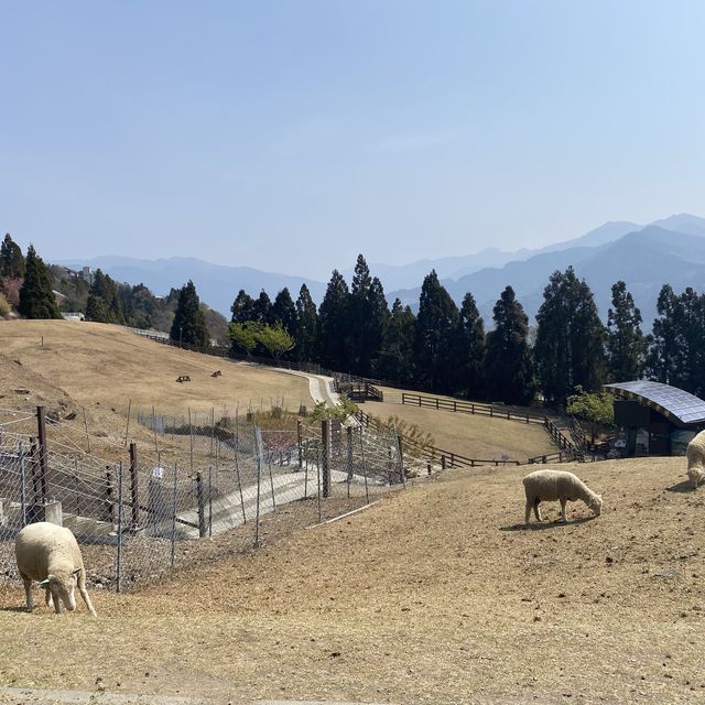 Well-known Qingjing Farm in Taiwan